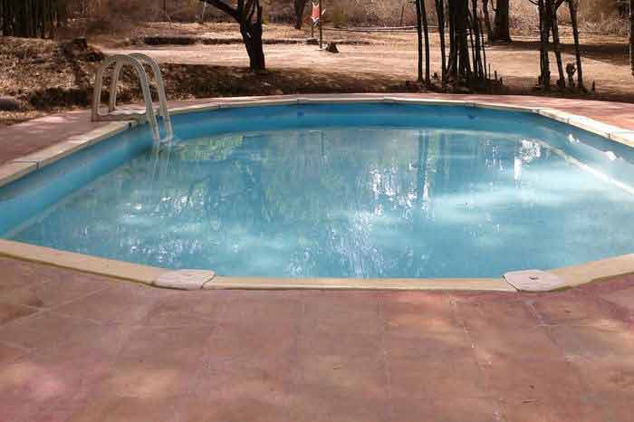 Jungle Holidayz, Jungle Holidays, Jungle Holidayz Masinagudi, Masinagudi Jeep Safari, Masinagudi Trekking, Masinagudi Gipsy Safari, Masinagudi Waterfalls, Masinagudi Camp Fire, Masinagudi Historical Places, Masinagudi Sightseeing,  Masinagudi Trekking, Masinagudi Travels, Masinagudi Tours, Masinagudi Tours And Travels, Car Rents Masinagudi, Car Rentals Ooty, Cab Services Masinagudi, Cab Rentals, Taxi Rentals, Travels Masinagudi, Tourism Masinagudi, Jungle Holidayz Ooty, Ooty Jeep Safari, Ooty Trekking, Ooty Gipsy Safari, Ooty Waterfalls, Ooty Camp Fire, Ooty Historical Places, Ooty Sightseeing, Mysore Sightseeing,  Masinagudi, Masinagudi Resorts,  Masinagudi  Resort, Masinagudi Resorts, Masinagudi Hotels, Masinagudi Jungle Lodge, Masinagudi Jungle, Masinagudi Wild Life Resorts, Masinagudi Forest Hotel, Masinagudi Forest Resorts, Wildlife Resorts In Masinagudi, Masinagudi Cottages, Masinagudi Resorts Tree House, Jungle Retreat Resort Masinagudi, Jungle Hut Resort Masinagudi, Masinagudi Resorts Tariff, Safari Land Resort Masinagudi, Masinagudi Location, Masinagudi Home Stay, Masinagudi Jungle Resort, Masinagudi Cottages, Masinagudi Tree House, Masinagudi Weather, Masinagudi To Ooty, Most Popular Resorts In Masinagudi, Best Masinagudi Resorts, Hotels In Masinagudi, Resorts In Masinagudi, Cottages In Masinagudi, Home Stay In Masinagudi, Rooms In Masinagudi, Bird Watching Masinagudi,  Birding In Masinagudi, Wildlife Resort In Masinagudi, Resorts In Masinagudi-Mudumalai, Masinagudi Location, Fire Camp In Masinagudi,  Masinagudi To Ooty, Masinagudi To Chennai,  Masinagudi To Coimbatore,  Masinagudi To Bangalore, Masinagudi Jungle Trekking,  Trekking In Masinagudi, Masinagudi Trekking Booking, Trekking Booking Ooty, Trekking Mudumalai, Trekking Nilgiris, Masinagudi Resort Booking, Masinagudi Cottage Booking, Places To Stay In Masinagudi, Trekking Through Masinagudi, Activities In Masinagudi Such As Trekking,  Adventure Jungle Camping, Adventure Jungle Package, Jungle Camping,  Jungle Package,  Luxury Adventure Package, Tree Top Package, Best Family Resort In Masinagudi, Best Family Resort In Masinagudi Mudumalai  Forest, Masinagudi Forest Wildlife Resort, Masinagudi Trekking Cost, Masinagudi Trekking Booking, Masinagudi Jeep Safari,  Masinagudi Trekking Shed, Vibudhimalai Trek, Activities In Masinagudi Mudumalai Trekking,  Night Trekking In Masinagudi, Best Forest Resort In Masinagudi‎ , Wildlife Forest Lodges & Resorts In Masinagudi