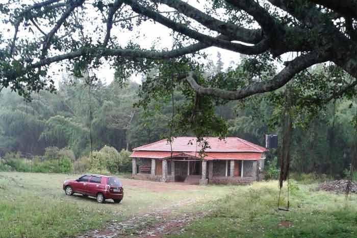 Jungle Holidayz, Jungle Holidays, Jungle Holidayz Masinagudi, Masinagudi Jeep Safari, Masinagudi Trekking, Masinagudi Gipsy Safari, Masinagudi Waterfalls, Masinagudi Camp Fire, Masinagudi Historical Places, Masinagudi Sightseeing,  Masinagudi Trekking, Masinagudi Travels, Masinagudi Tours, Masinagudi Tours And Travels, Car Rents Masinagudi, Car Rentals Ooty, Cab Services Masinagudi, Cab Rentals, Taxi Rentals, Travels Masinagudi, Tourism Masinagudi, Jungle Holidayz Ooty, Ooty Jeep Safari, Ooty Trekking, Ooty Gipsy Safari, Ooty Waterfalls, Ooty Camp Fire, Ooty Historical Places, Ooty Sightseeing, Mysore Sightseeing,  Masinagudi, Masinagudi Resorts,  Masinagudi  Resort, Masinagudi Resorts, Masinagudi Hotels, Masinagudi Jungle Lodge, Masinagudi Jungle, Masinagudi Wild Life Resorts, Masinagudi Forest Hotel, Masinagudi Forest Resorts, Wildlife Resorts In Masinagudi, Masinagudi Cottages, Masinagudi Resorts Tree House, Jungle Retreat Resort Masinagudi, Jungle Hut Resort Masinagudi, Masinagudi Resorts Tariff, Safari Land Resort Masinagudi, Masinagudi Location, Masinagudi Home Stay, Masinagudi Jungle Resort, Masinagudi Cottages, Masinagudi Tree House, Masinagudi Weather, Masinagudi To Ooty, Most Popular Resorts In Masinagudi, Best Masinagudi Resorts, Hotels In Masinagudi, Resorts In Masinagudi, Cottages In Masinagudi, Home Stay In Masinagudi, Rooms In Masinagudi, Bird Watching Masinagudi,  Birding In Masinagudi, Wildlife Resort In Masinagudi, Resorts In Masinagudi-Mudumalai, Masinagudi Location, Fire Camp In Masinagudi,  Masinagudi To Ooty, Masinagudi To Chennai,  Masinagudi To Coimbatore,  Masinagudi To Bangalore, Masinagudi Jungle Trekking,  Trekking In Masinagudi, Masinagudi Trekking Booking, Trekking Booking Ooty, Trekking Mudumalai, Trekking Nilgiris, Masinagudi Resort Booking, Masinagudi Cottage Booking, Places To Stay In Masinagudi, Trekking Through Masinagudi, Activities In Masinagudi Such As Trekking,  Adventure Jungle Camping, Adventure Jungle Package, Jungle Camping,  Jungle Package,  Luxury Adventure Package, Tree Top Package, Best Family Resort In Masinagudi, Best Family Resort In Masinagudi Mudumalai  Forest, Masinagudi Forest Wildlife Resort, Masinagudi Trekking Cost, Masinagudi Trekking Booking, Masinagudi Jeep Safari,  Masinagudi Trekking Shed, Vibudhimalai Trek, Activities In Masinagudi Mudumalai Trekking,  Night Trekking In Masinagudi, Best Forest Resort In Masinagudi‎ , Wildlife Forest Lodges & Resorts In Masinagudi